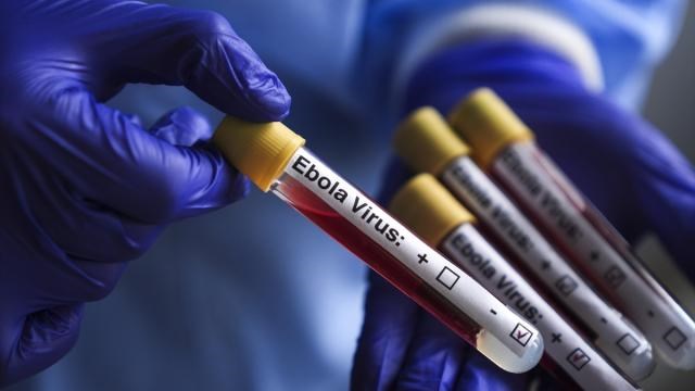 Ebola’ya karşı yeni umut: İlk deneysel aşı insanda denendi